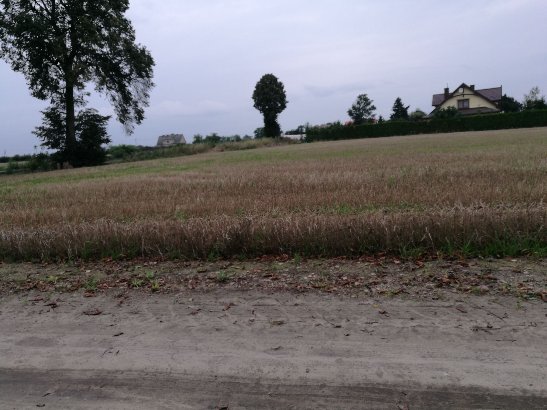 blog budowlany - mojabudowa.pl